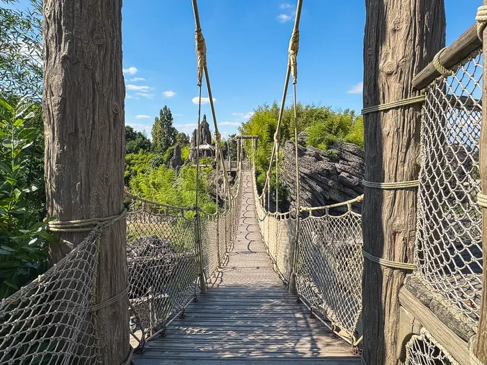 Pont de corde suspendu au-dessus de la végétation d’Adventure Isle, sous un ciel bleu à Adventureland