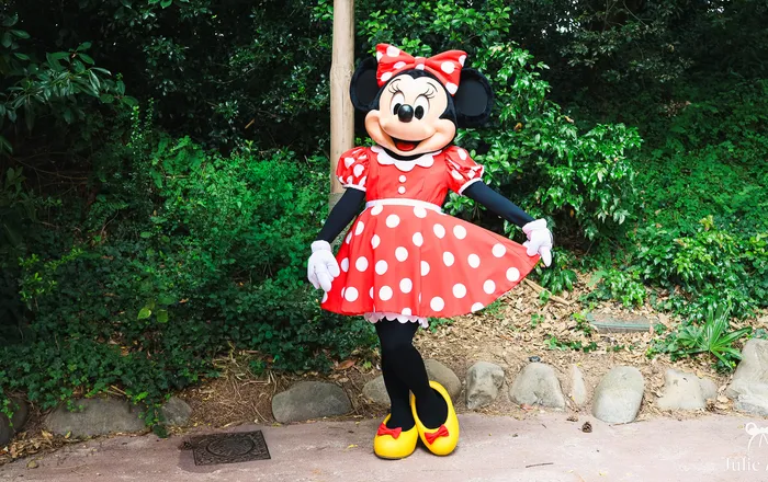 Rencontre avec Minnie et ses amis