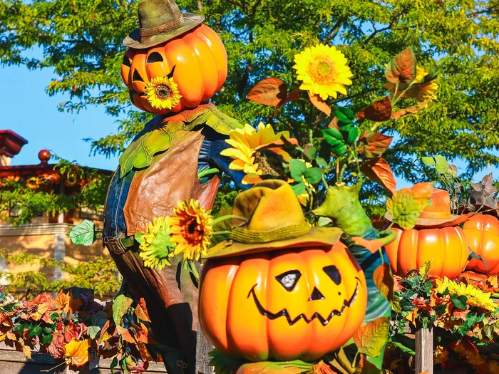Deux épouvantails à tête de citrouille et tournesols décorent une barrière de Frontierland