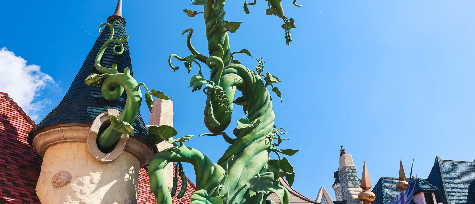 Tige de haricot géant verte grimpant le long d’une tourelle aux toits pointus de Fantasyland, sous un ciel bleu.