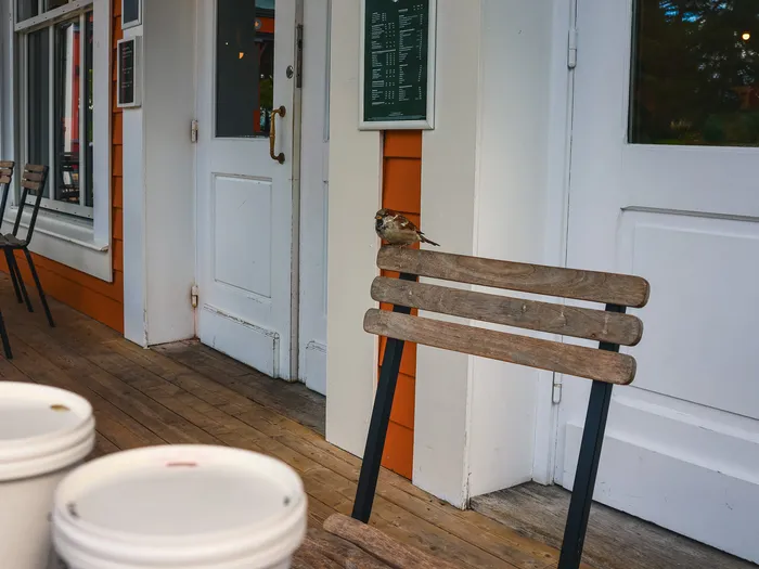 Wooden terrace of the Starbucks at Disney Hotel Cheyenne, Disneyland Paris: benches and chairs by glass doors, two Starbucks cups in the foreground