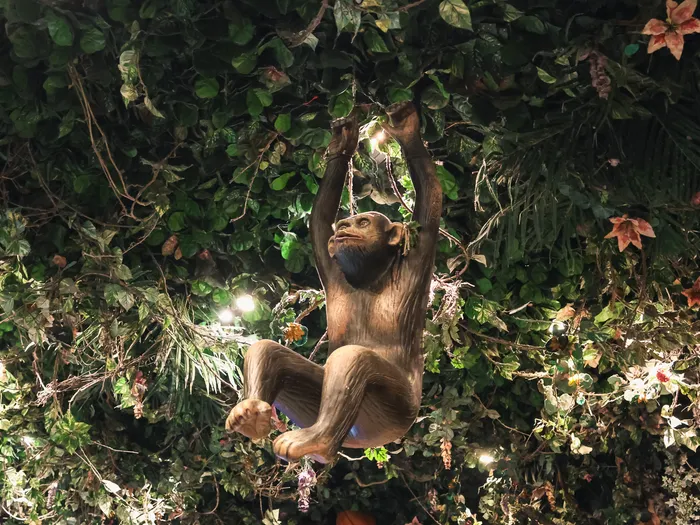 Animatronic monkey hanging in the foliage of the Boutique Rainforest Café, lit with fairy lights