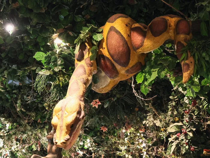 Large yellow animatronic snake coiled in the foliage, with a pink bird, at Disneyland Paris