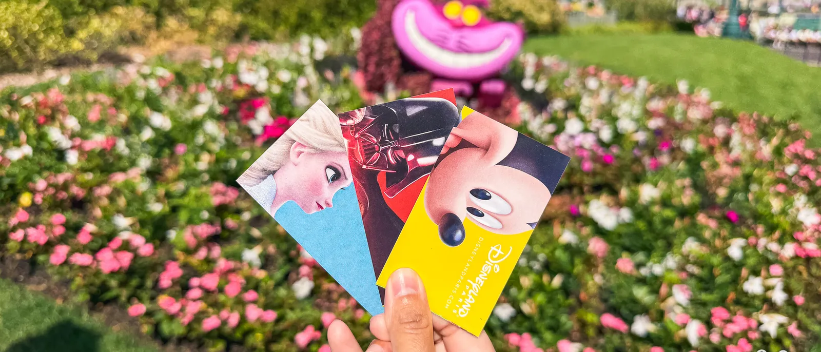 Main tenant trois billets Disneyland (Elsa, Dark Vador, Mickey) devant un massif fleuri et la topiaire souriante du Chat de Cheshire.