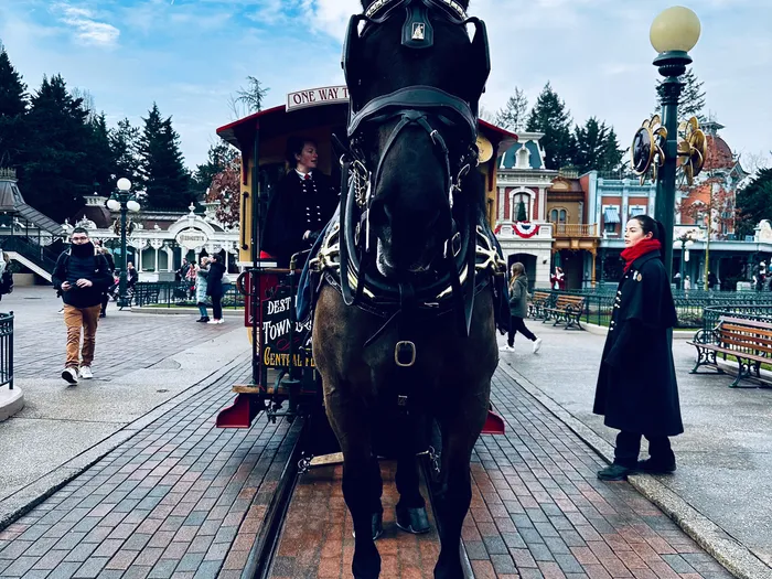 Cheval de trait noir attelé à un Horse-Drawn Streetcar sur les rails de Main Street USA, cast member à côté.