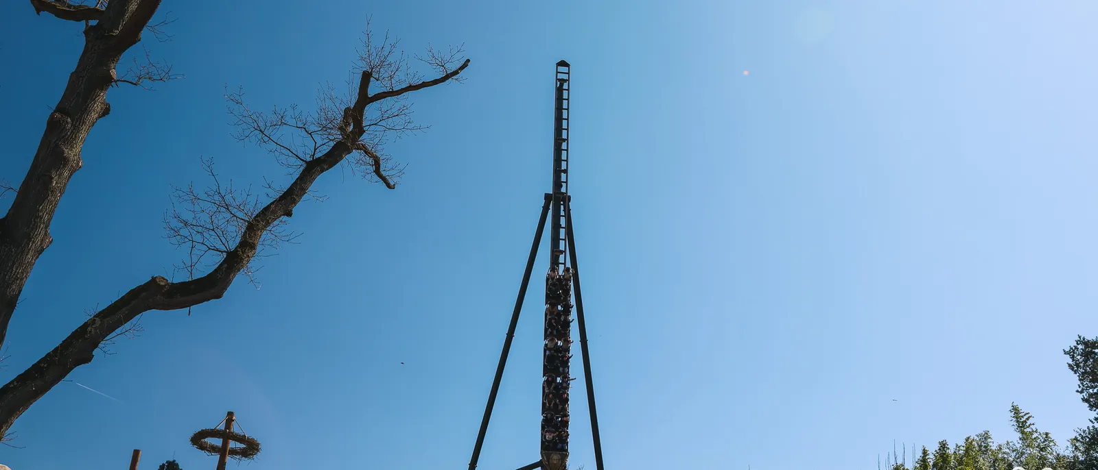 Contre-plongée sur la haute structure métallique noire de Toutatis, ciel bleu dégagé et branches nues à gauche