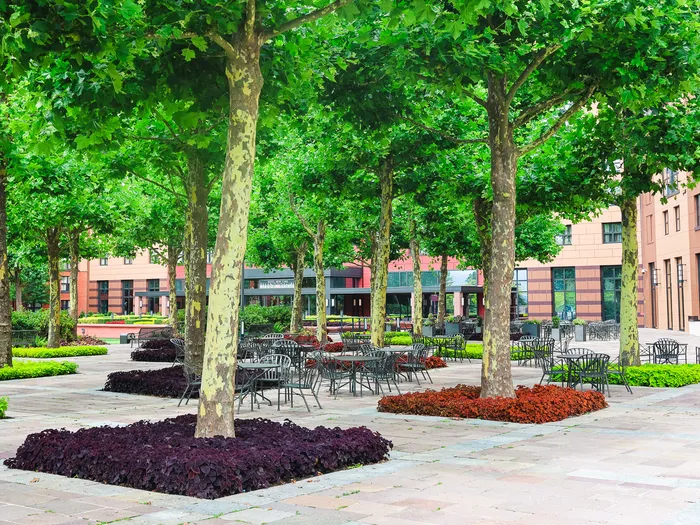 Cour arborée avec tables et parterres fleuris à l’hôtel New York The Art of Marvel