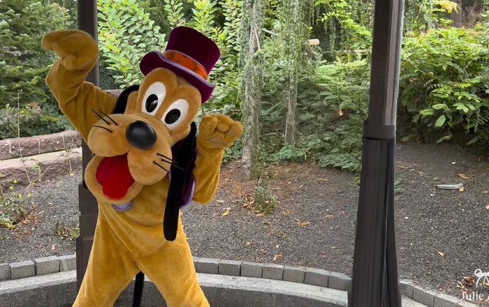 Rencontre avec Pluto