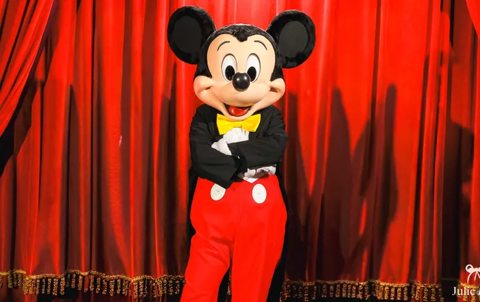 Rencontre avec Mickey (Parc Disneyland)