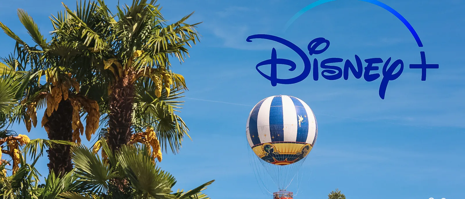 Montgolfière PanoraMagique bleu et blanc dans un ciel bleu, palmiers au premier plan et logo Disney+ incrusté.