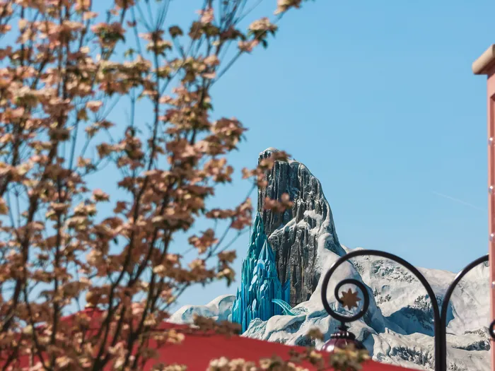 Sommet enneigé de World of Frozen aperçu derrière un arbre en fleurs, Parc Disney Adventure World