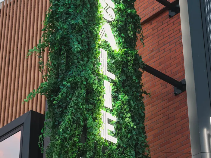 Enseigne lumineuse Rosalie habillée de lierre sur la façade en briques de la brasserie du Disney Village.