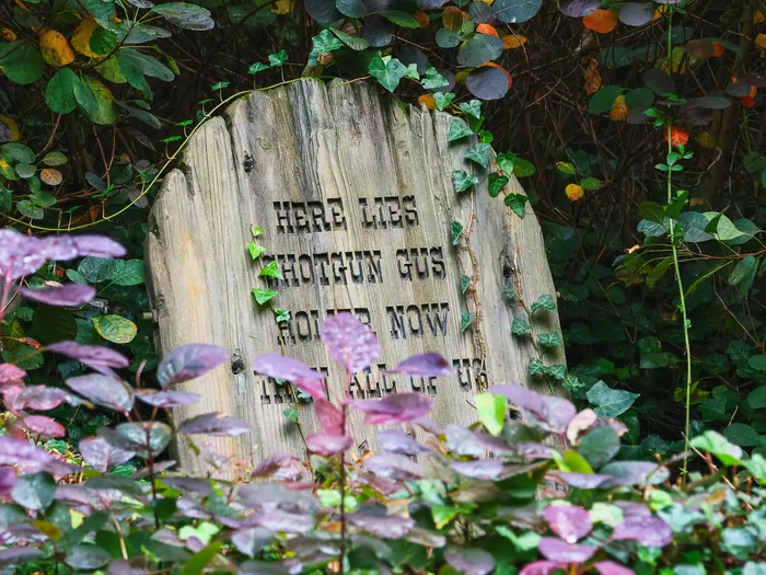 Pierre tombale « Here lies Shotgun Gus » envahie de lierre dans le cimetière de Phantom Manor.