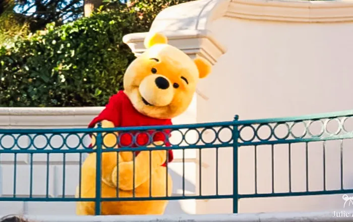 Rencontre avec Winnie l’Ourson ou ses amis