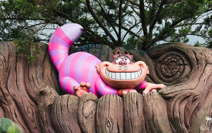 Rencontre avec le Chat du Cheshire