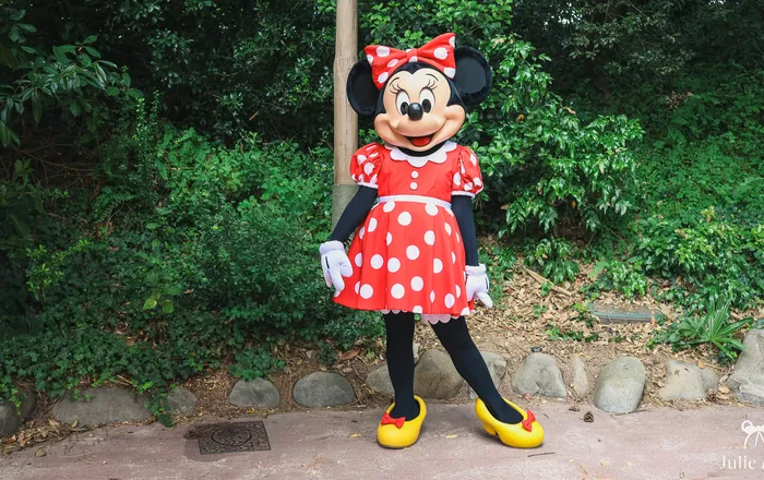 Rencontre avec Minnie ou ses amies