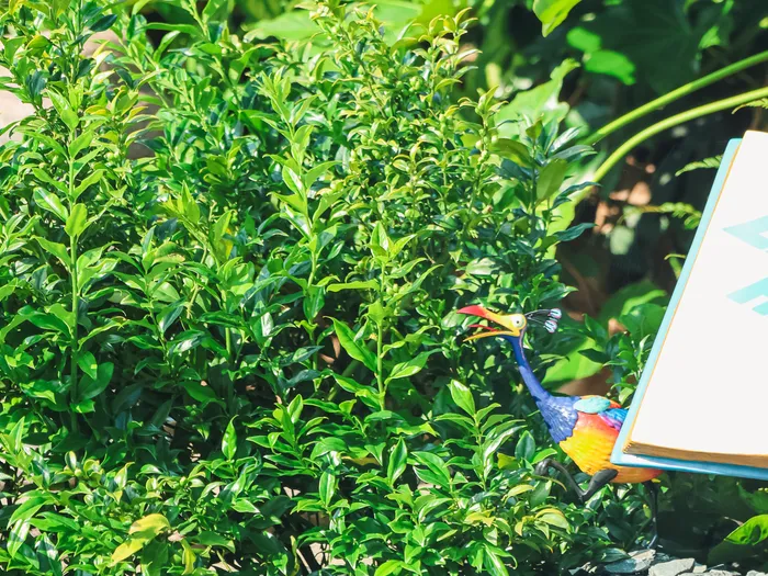 Figurine de Kevin, l’oiseau coloré du film Là-Haut, dissimulée dans les feuillages verts au Pays des Contes de Fées
