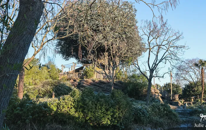 La Cabane des Robinson