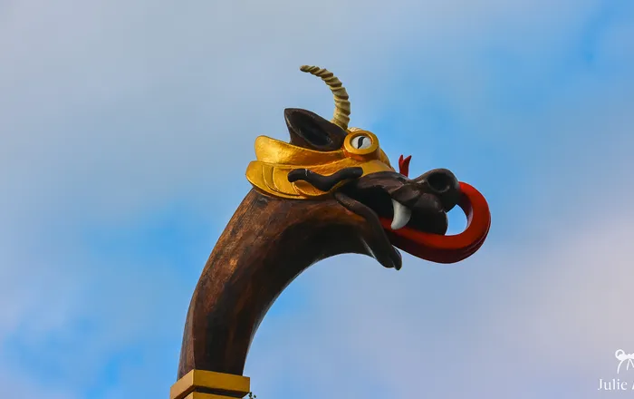 Les Vikings