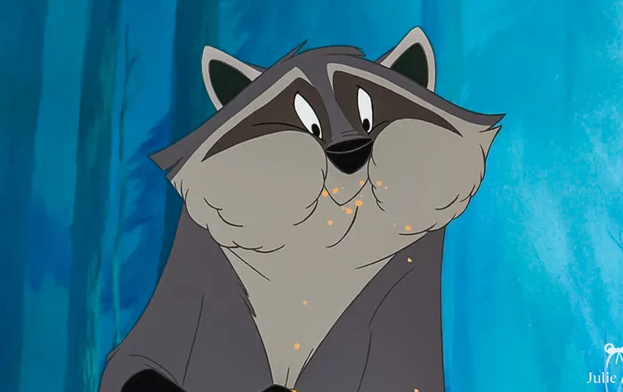 Magic Shot avec Meeko