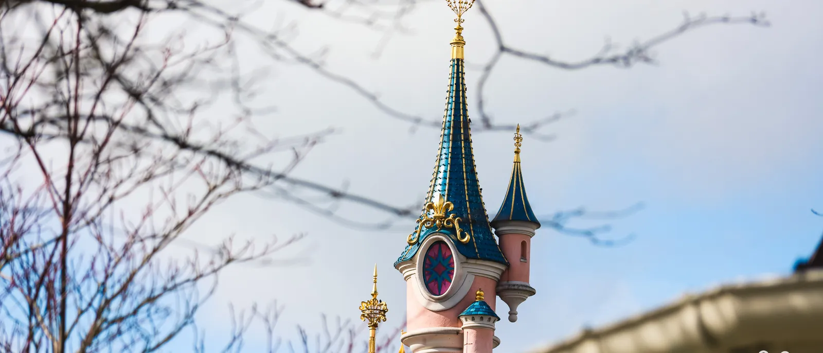 Flèches roses et bleues du château de la Belle au Bois Dormant encadrées de branches nues, Disneyland Paris