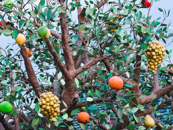 Arbre décoratif chargé de fruits multicolores en résine devant le kiosque L'Arbre Enchanté à Fantasyland