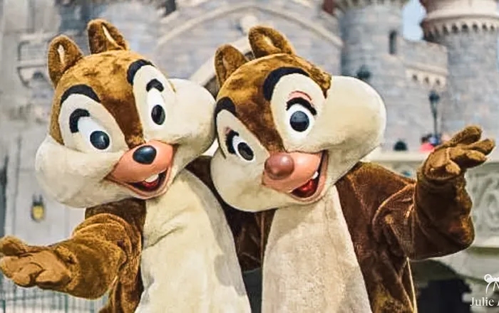 Rencontre avec Tic et Tac