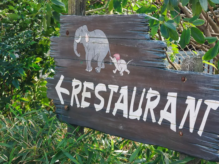 Panneau directionnel en bois orné d’éléphants peints indiquant le restaurant Colonel Hathi’s dans la végétation d’Adventureland.