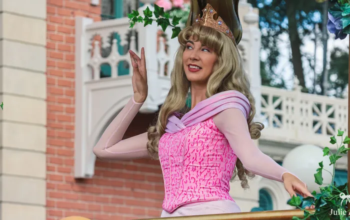 Rencontre avec une princesse Disney