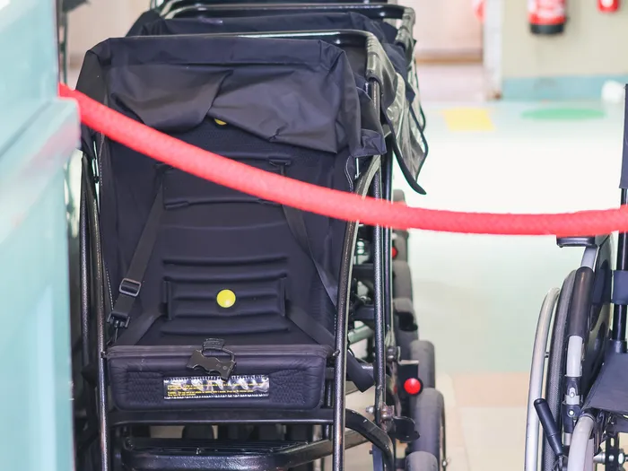 Row of black hire pushchairs lined up behind a red rope, with a wheelchair on the right, at Disneyland Paris.