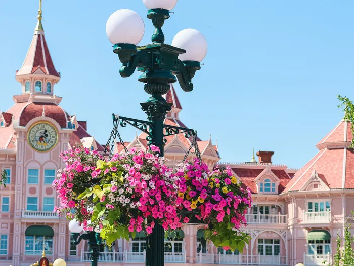 Façade rose du Disneyland Hotel au printemps derrière un lampadaire fleuri de pétunias roses