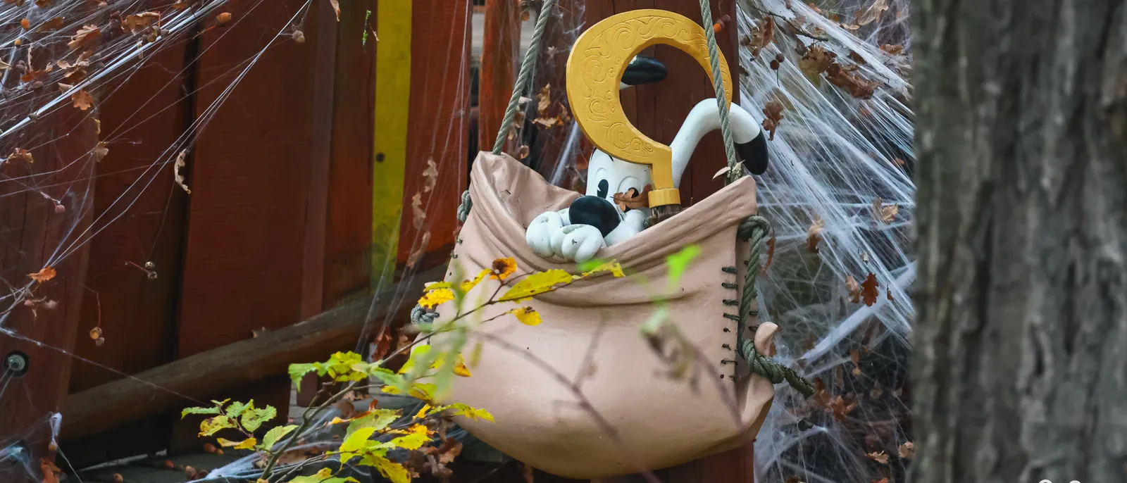 Figurine d’Idéfix installée dans une besace suspendue, entourée de toiles d’araignée et de feuilles d’automne