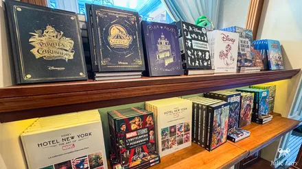 Étagères de beaux livres et d’encyclopédies Disney dans une boutique de Disneyland Paris.