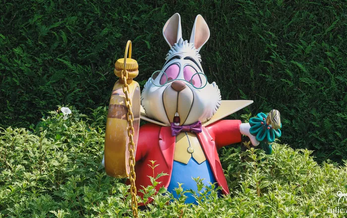 Rencontre avec Le Lapin Blanc