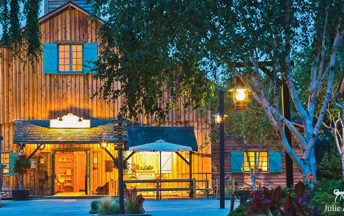 Alamo Trading Post