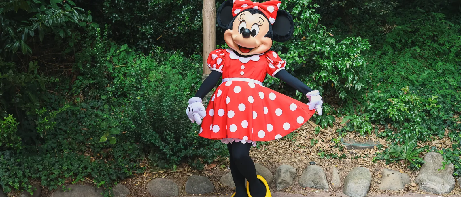 Minnie Mouse en robe rouge à pois blancs et nœud assorti pose devant un massif de verdure à Disneyland Paris.