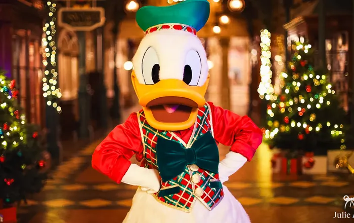Rencontre avec Donald et ses amis