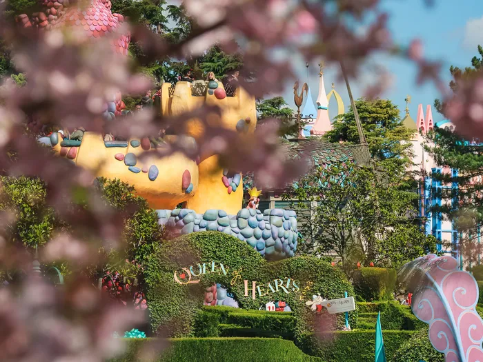 Enseigne Queen of Hearts du labyrinthe d’Alice, vue au printemps derrière des cerisiers en fleurs, à Fantasyland.