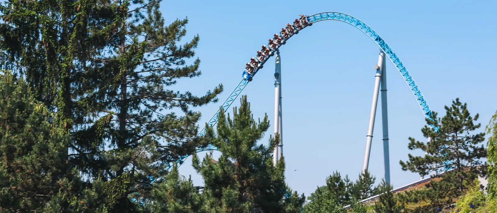 Train du coaster Blue Fire franchissant une grande courbe bleue au-dessus des pins à Europa-Park.