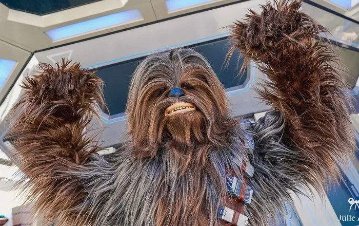 Rencontre avec Chewbacca