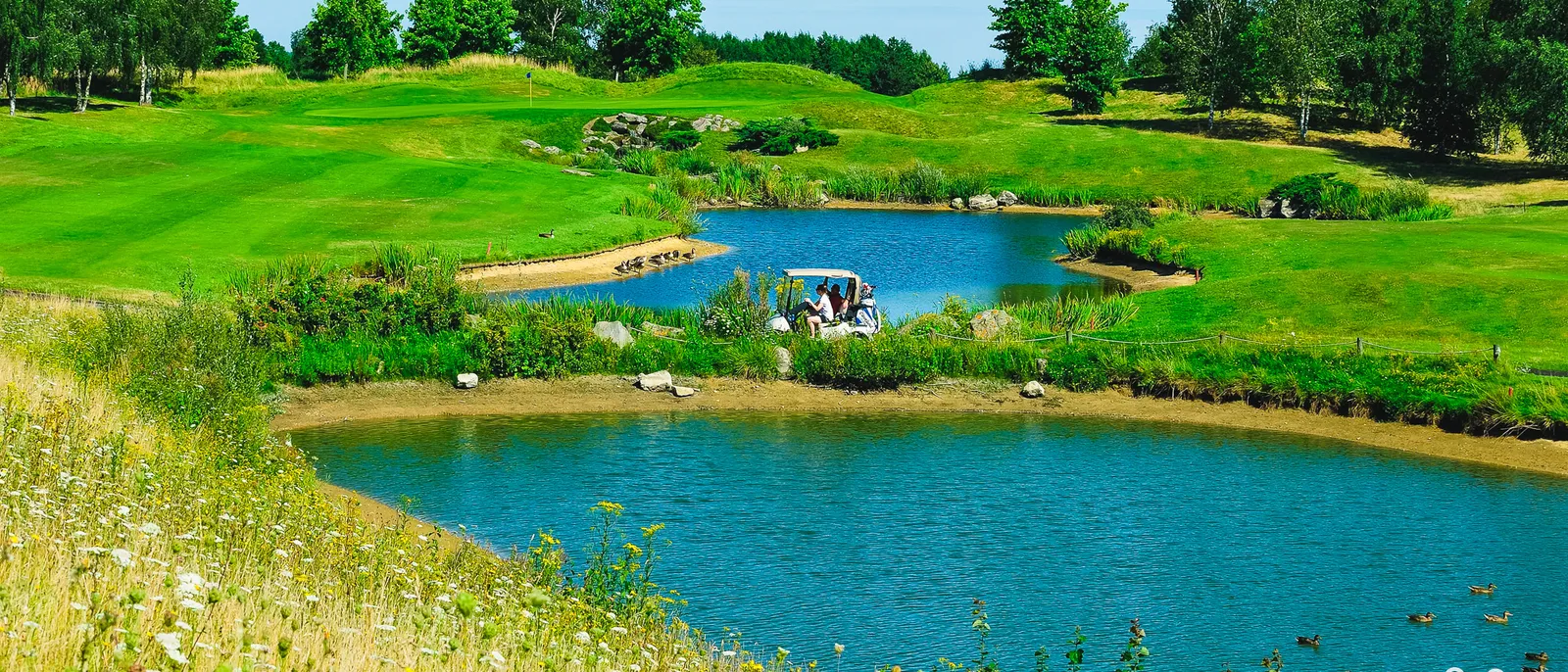 Fairways verdoyants, plans d’eau et voiturette de golfeurs au golf de Disneyland Paris, fleurs sauvages au premier plan.