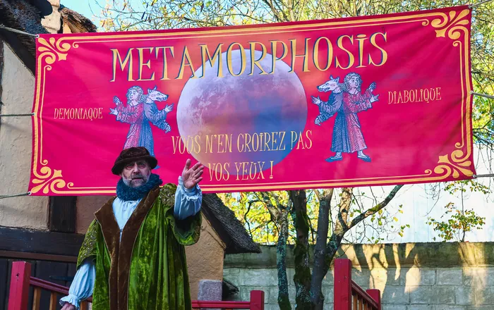 Metamorphosis
