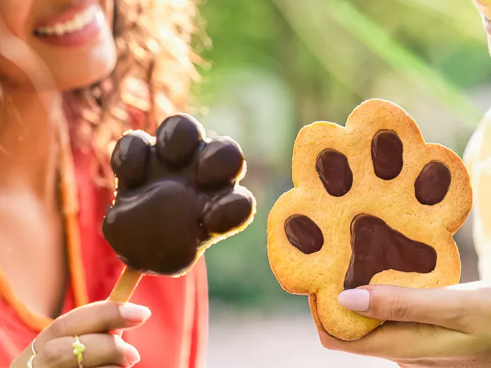 Glace en forme de patte d’ours enrobée de chocolat et biscuit patte d’ours tenus en extérieur, snack Critter Corral